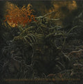 Postcoital Ulceration - Continuation Of Defective Existence After - Music CD