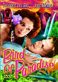 Bird Of Paradise - Bird Of Paradise - DVD