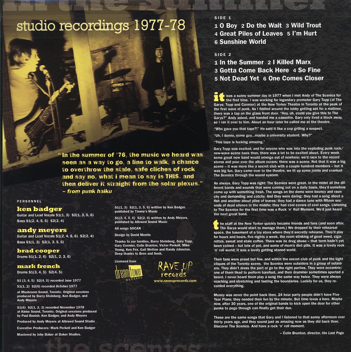 The Scenics - In The Summer: Studio Recordings 1977-78 Vinyl Record