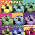 Dickies - Still Live Even If You Don't Want It - Music CD