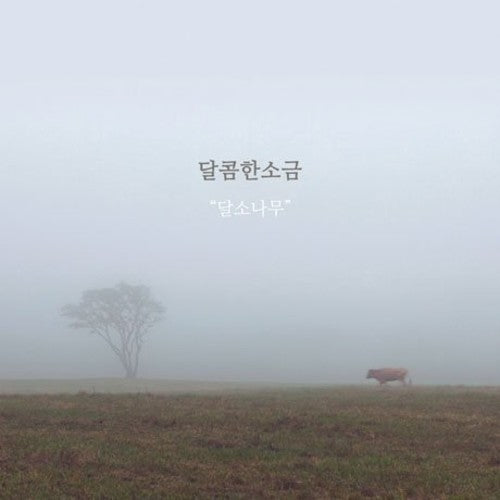 Sweet Salt - Dalsonamu - Music CD