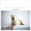Easy October - Things We Did Yesterday - Vinyl Record