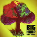 Big Harp - It's A Shame - Vinyl Record