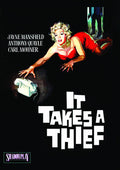 It Takes A Thief - It Takes A Thief - DVD