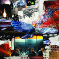 Plain White T's - American Nights - Music CD