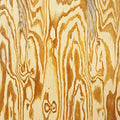 Wooden Aquarium [LP] Vinyl Record