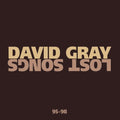 Gray,david - Lost Songs 95-98 - Music CD