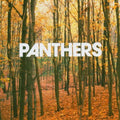 Panthers - Things Are Strange - Music CD
