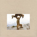 Shellac - Dude Incredible - Vinyl Record