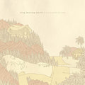Tiny Moving Parts - Pleasant Living - Vinyl Record