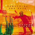 Something For Kate - Desert Lights - Music CD