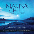 Arkenstone,david - Native Chill: Spirits Calling A Native American - Music CD