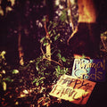 Happy Family - Minimal Gods - Music CD