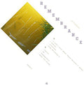 Remembrance Vinyl Record