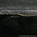 Rural Alberta Advantage - Mended With Gold - Music CD