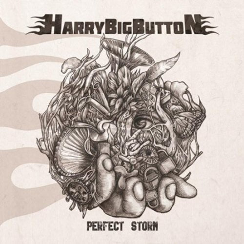 Harrybigbutton - Perfect Storm (ep) - Music CD