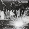 Terminals - Singles & Sundries - Vinyl Record