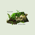 Taxes - It Never Ends - Music CD