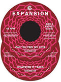 Khemistry - Can You Feel My Love/whatever It Takes - Vinyl Record