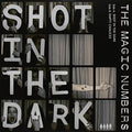 Magic Numbers - Shot In The Dark - Vinyl Record