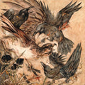 Valkyrie - Shadows - Music CD