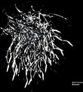 Husebo,kjetil - Sources - Music CD