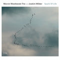 Wasileski,marcin - Spark Of Life - Music CD