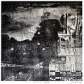 Zaquoir - Asino Sardo - Vinyl Record