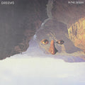 Dreems - In The Desert Remixes - Vinyl Record