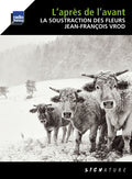 Vrod,jean-francois - Lapres De L'avant - Music CD