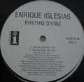 Iglesias,enrique - Rhythm Divine - Vinyl Record