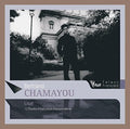 Chamayou,bertrand - Liszt: 12 Etudes D'execution Transcenda - Music CD