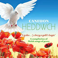 Caneuon Heddwch / Various - Caneuon Heddwch / Various - Music CD
