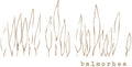 Balmorhea Music CD