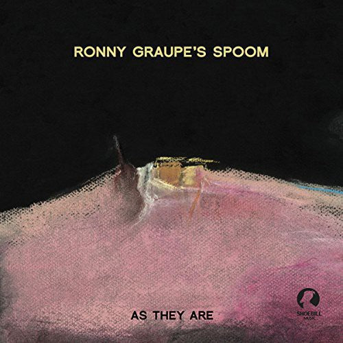 Graupe,ronny - As They Are - Vinyl Record