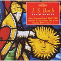 Bach / Bowyer - Works For Organ 11 - Music CD