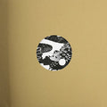 Earlybird Soul System - Flashing Lights - Vinyl Record