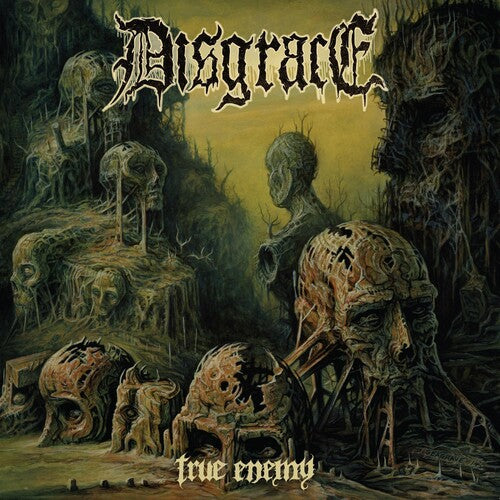 Disgrace - True Enemy - Music CD