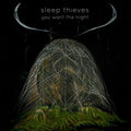 Sleep Thieves - You Want The Night - Vinyl Record