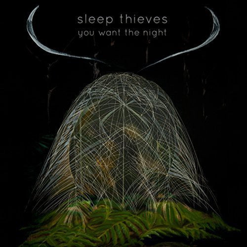 Sleep Thieves - You Want The Night - Vinyl Record
