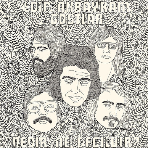 Akbayram,edip / Dostlar - Nedir Ne Degildir - Music CD