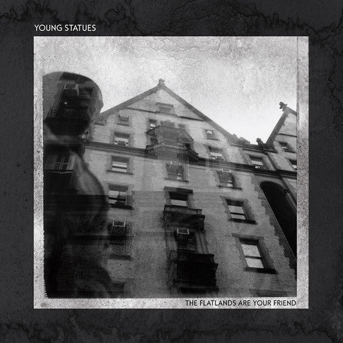 The Flatlands Are Your Friend Vinyl Record