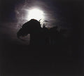 Emit - Spectre Music Of An Antiquary - Music CD