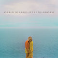 Mcmahon,andrew - Andrew Mcmahon In The Wilderness - Vinyl Record