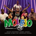 Grupo Molejo - 25 Anos Obaileesemparar - Music CD