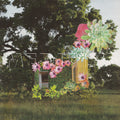 Home Everywhere Vinyl Record