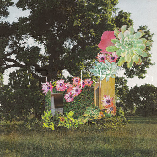 Home Everywhere Vinyl Record