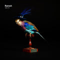 Raresh - Fabric 78 - Music CD
