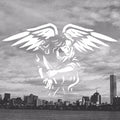 American Nightmare - Reunion Documentary - Blu-ray