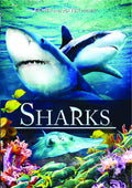 Sharks - Sharks - DVD